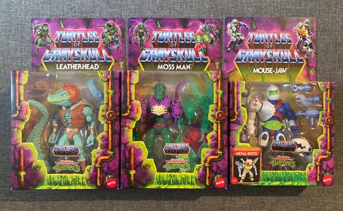 Turtles grayskull moss - turtles,
