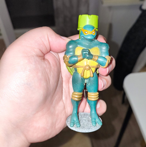 Teenage mutant ninja turtles - ninja,